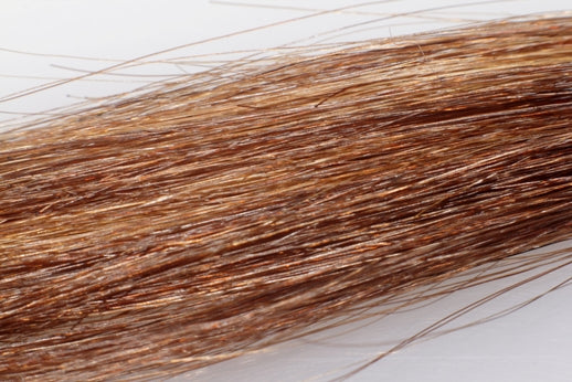 BANGS Clip-On Remy+ Human Hair