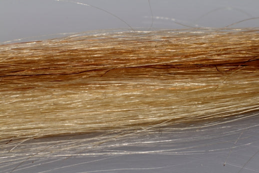 BANGS Clip-On Remy+ Human Hair