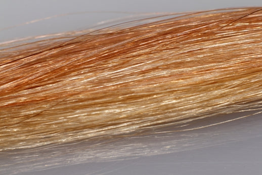 BANGS Clip-On Remy+ Human Hair
