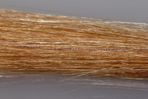 BANGS Clip-On Remy+ Human Hair