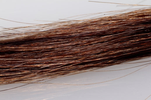 BANGS Clip-On Remy+ Human Hair