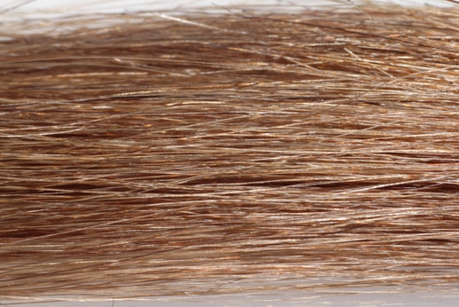 BANGS Clip-On Remy+ Human Hair