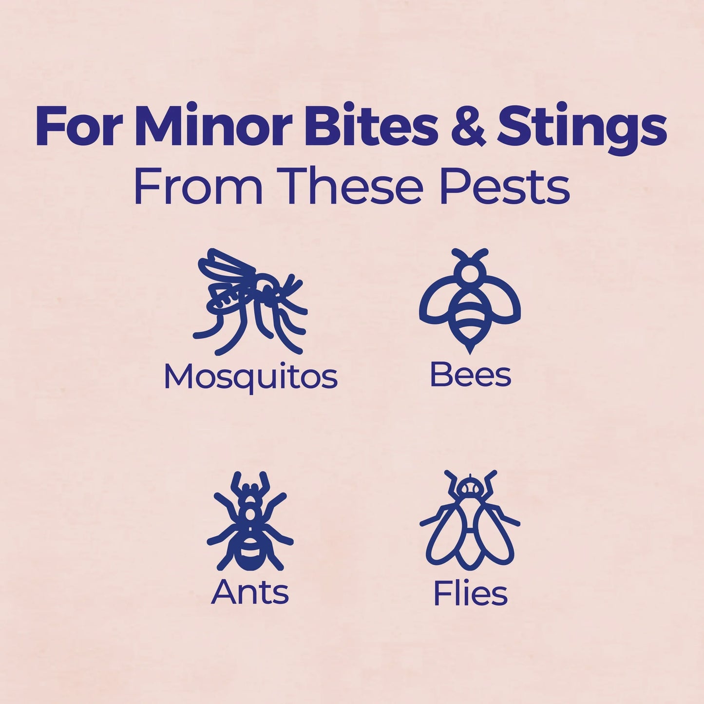Boiron Apis Mellifica 30C Bonus Pack, Homeopathic Medicine for Bug Bite & Sting Relief, Pain, Itching, Swelling Relief, 240 Pellets (3 Pack)