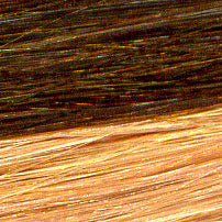 BANGS Clip-On Remy+ Human Hair