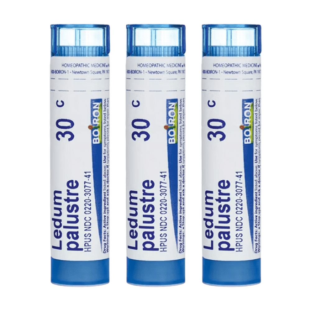 Boiron Ledum Palustre 30C, Homeopathic Medicine for Insect Bites or Bruising Relief, 80 Pellets (3 Pack)